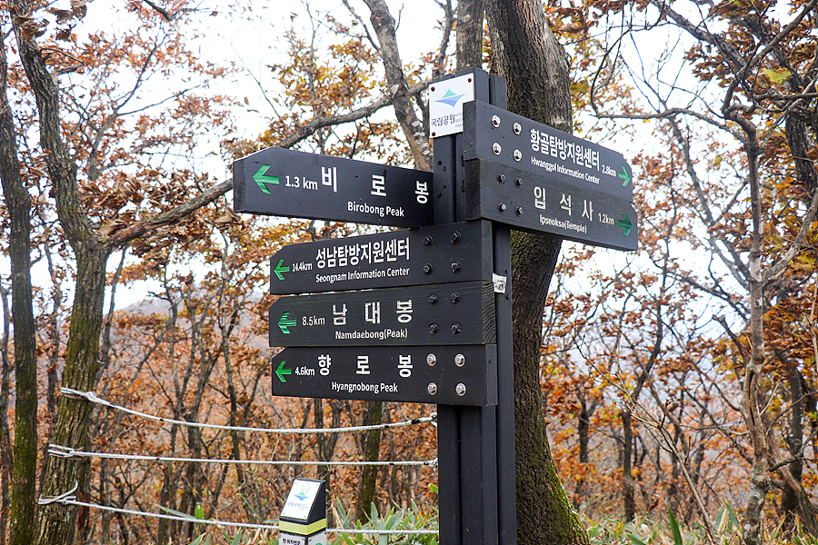 [치악산국립공원] 치악산 가을 단풍산행 / 황골~비로봉 등산코스