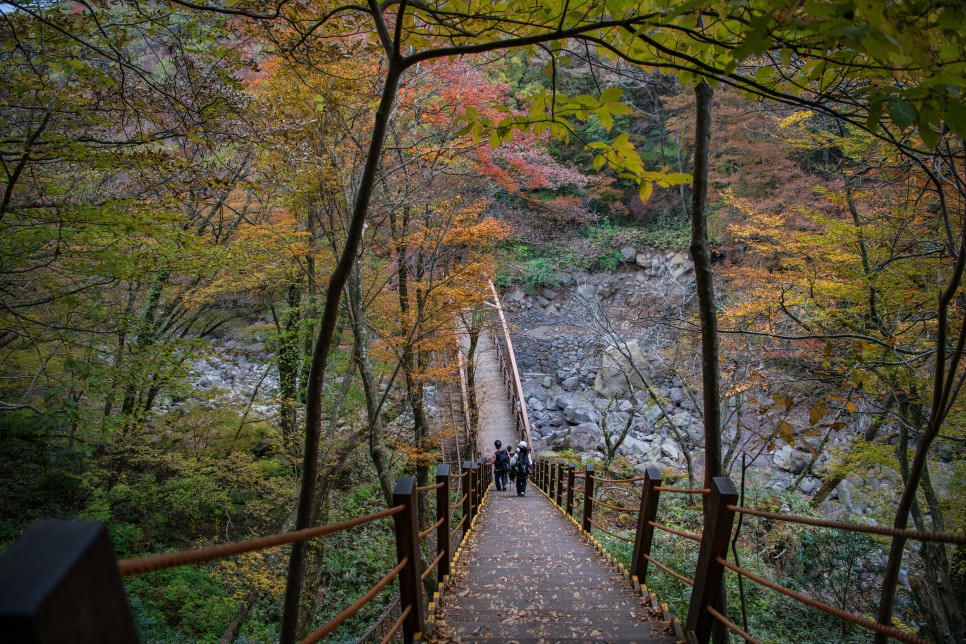 [한라산국립공원] 가을의 끝물에 만난 한라산