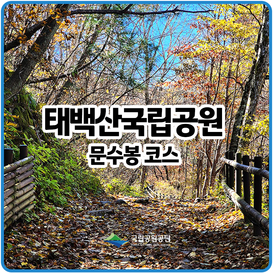 태백산 국립공원, 문수봉 코스 가을산행