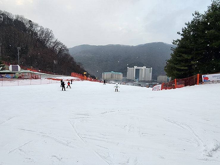 홍천 비발디파크 스키장 렌탈샵 개장일 첫 스키