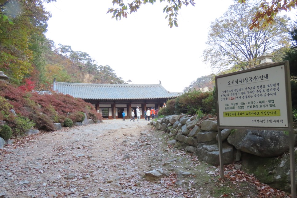 [설악산국립공원] 암봉과 기암 그리고 단풍이 어우러진 오색 주전골 탐방