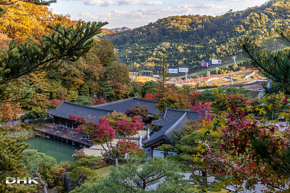 경기도 광주 가볼만한곳 화담숲 가을단풍축제 가을 명소 실시간 단풍 상황, 입장권 모노레일 예매방법