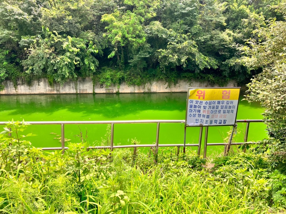 여름휴가 산과 노을 바다가 예뻣던 태안 산과바다펜션 다녀옴, 풍전뚝집 어죽 후기도 있음