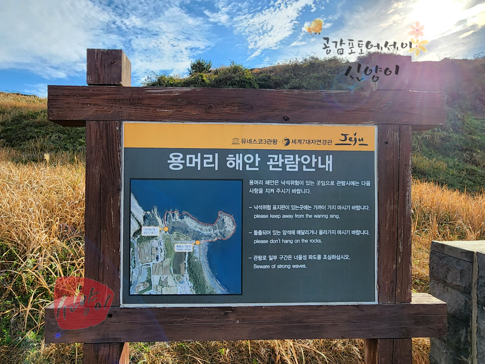 제주 산방산 용머리해안 물때 제주도 간조시간 인스타 보고가세요