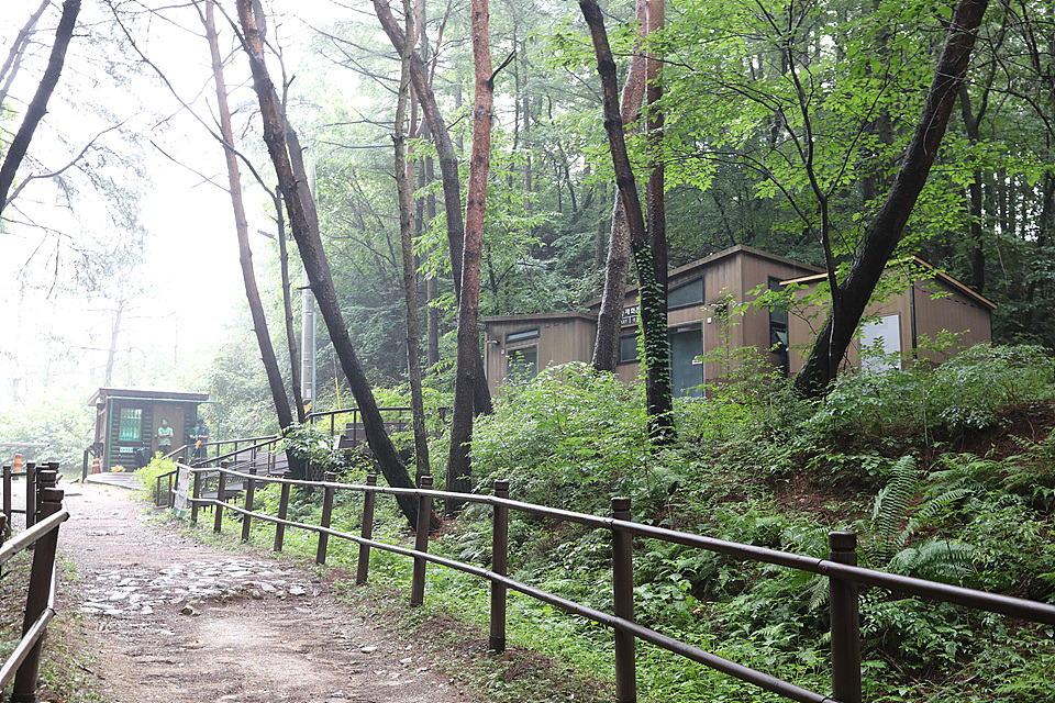 [월악산국립공원] 함께 걷기 좋은 길 '하늘재와 미륵대원지' 추천