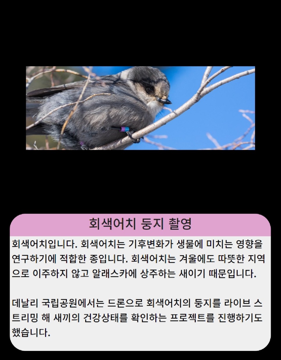 [KNPS국제협력 서포터즈] 우수사례 제작 카드뉴스 배포