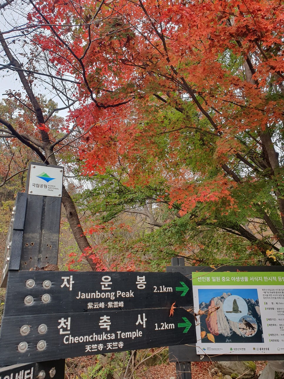 도봉산 등산, 낭만길 릿지 가을 산행