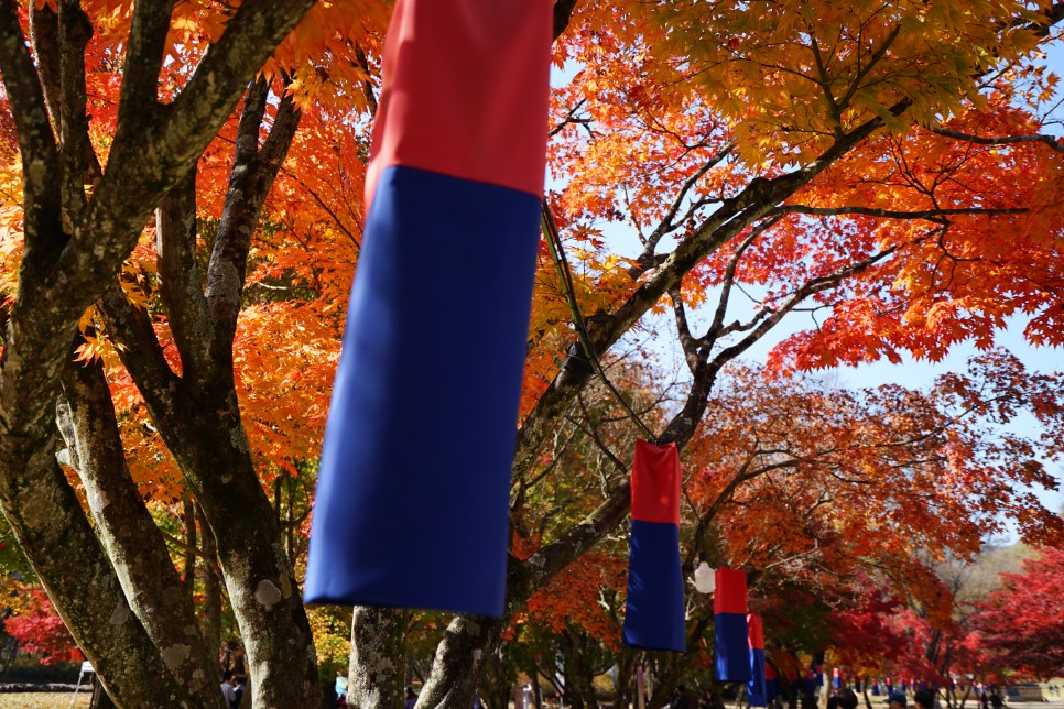 강원도 영월 여행지 단종역사관, 영월장릉, 영월 단풍 구경하러 가기에도 좋네요!