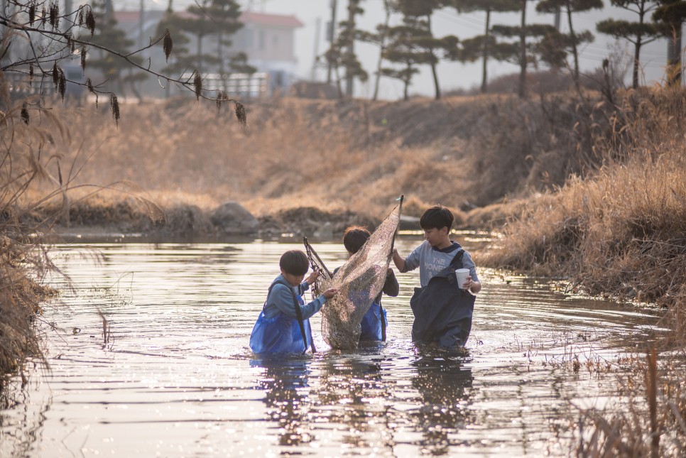 숲체험, 생태교육, 농촌체험 자!(마을에서)놀자 프로그램 진행