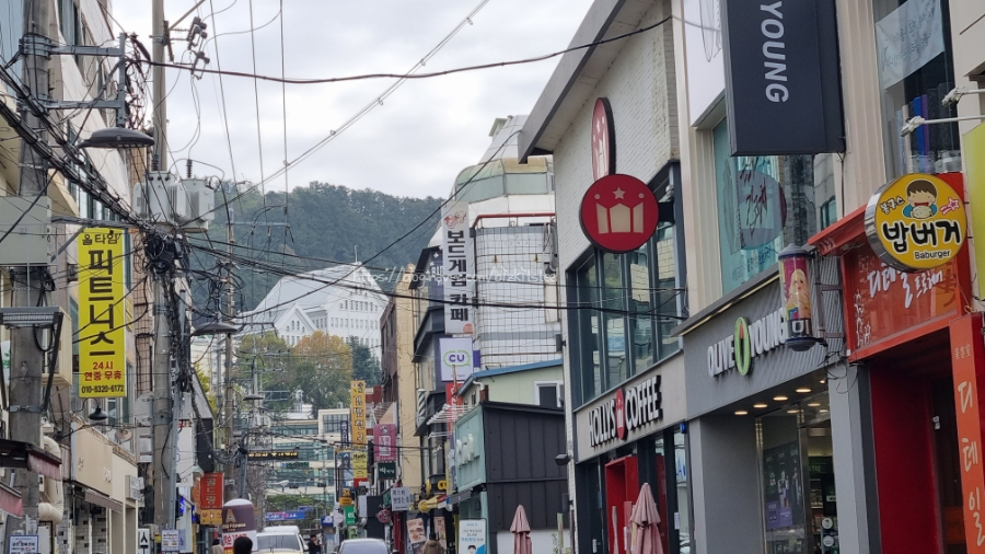 [광주여행] 동리단길 정희 & 양림동 호랑가시나무 언덕