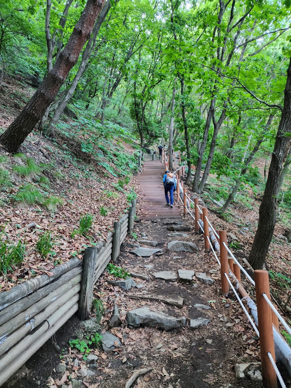 하남 검단산 산행(Feat.주차정보, '23.06.24)