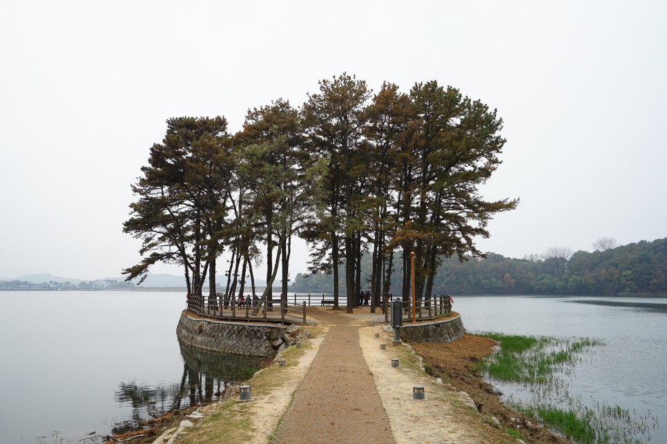 충남 논산 여행지 논산 탑정호출렁다리 다녀왔어요!