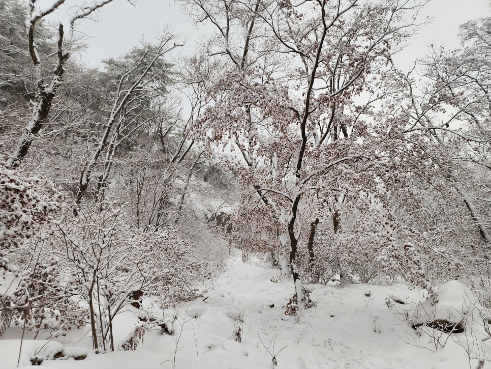 계묘년 북한산(백운대-영봉)신년설경 산행 ('22.01.07)