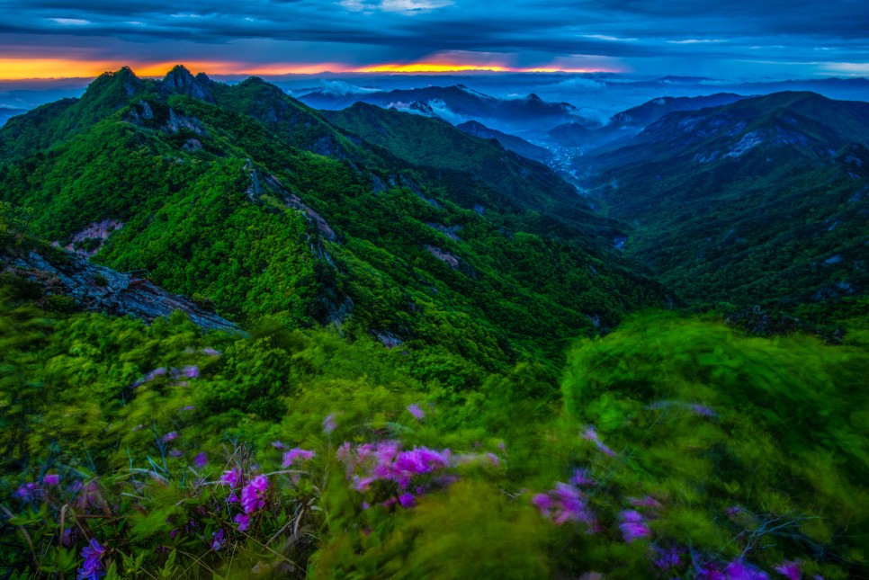지난봄 계룡산 국립공원 아침 풍경
