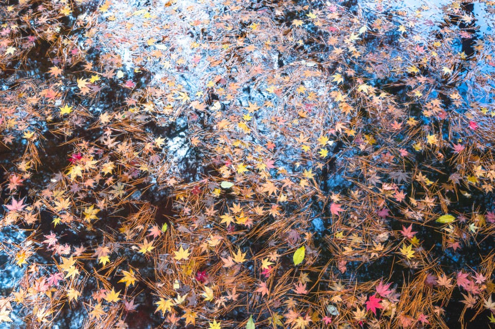 경주 숨은 단풍 명소 옥룡암 그 아름다운 가을 절경