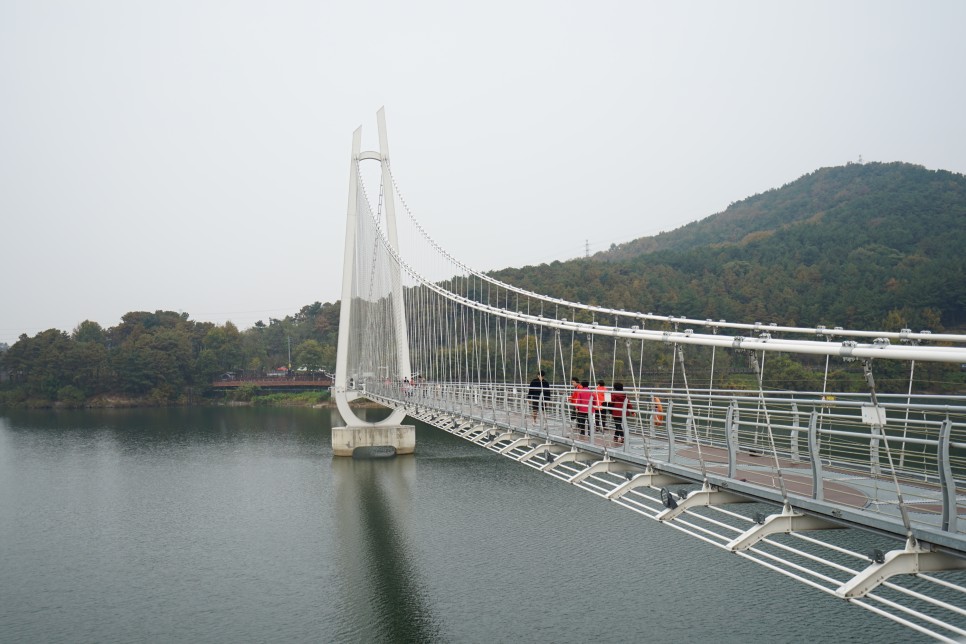 충남 논산 여행지 논산 탑정호출렁다리 다녀왔어요!