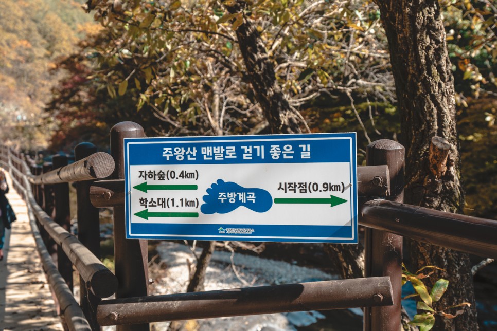 [주왕산국립공원] 경북 대표 단풍 트레킹 코스 용추협곡