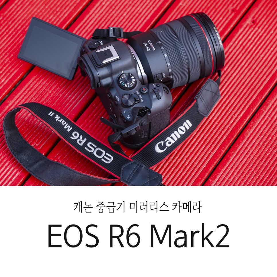 캐논 풀프레임 미러리스 카메라 EOS R6 Mark2 가을 여행의 기록