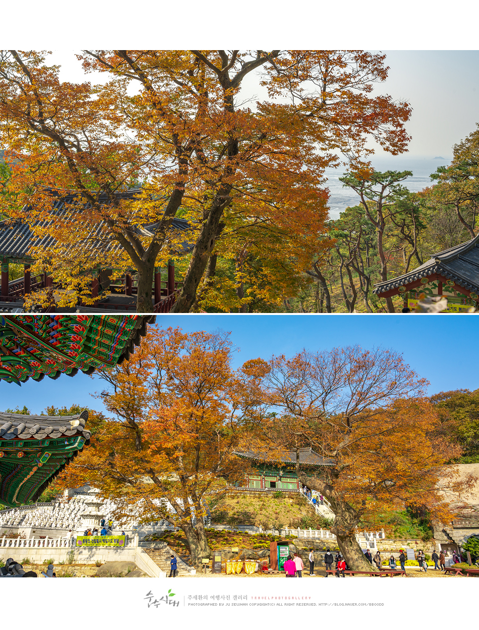 인천 강화도 갈만한곳 가을단풍명소 석모도 보문사 전등사