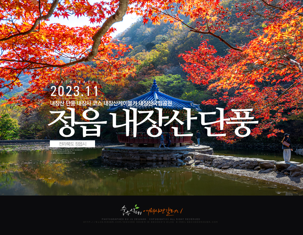 전북 정읍 내장산 단풍 내장사 내장산 케이블카 코스 내장산국립공원