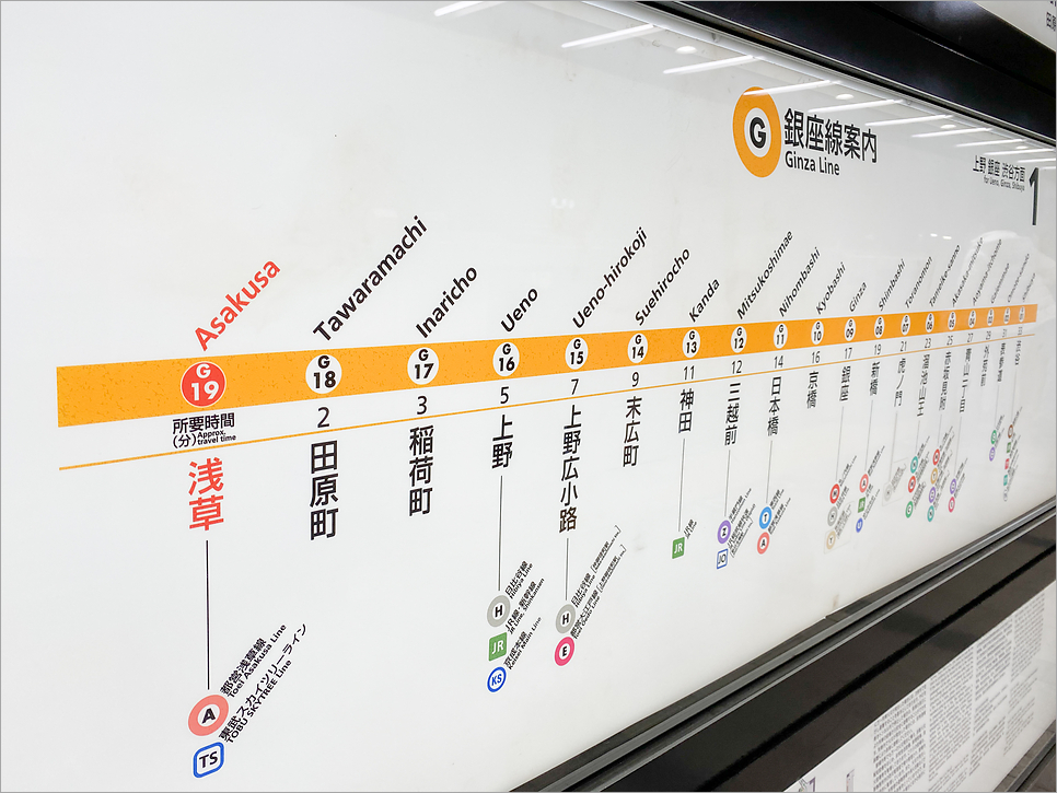 일본 도쿄 지하철 패스 요금 발권 사용방법 교통카드 메트로패스