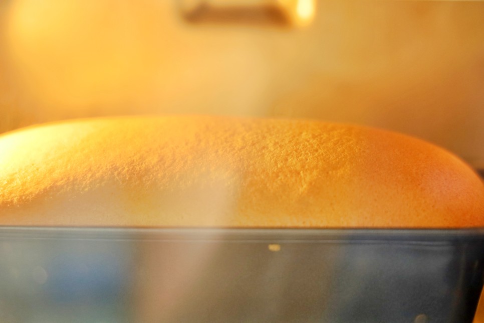 카스테라 만들기 홈베이킹 레시피 스폰지 케이크 만들기