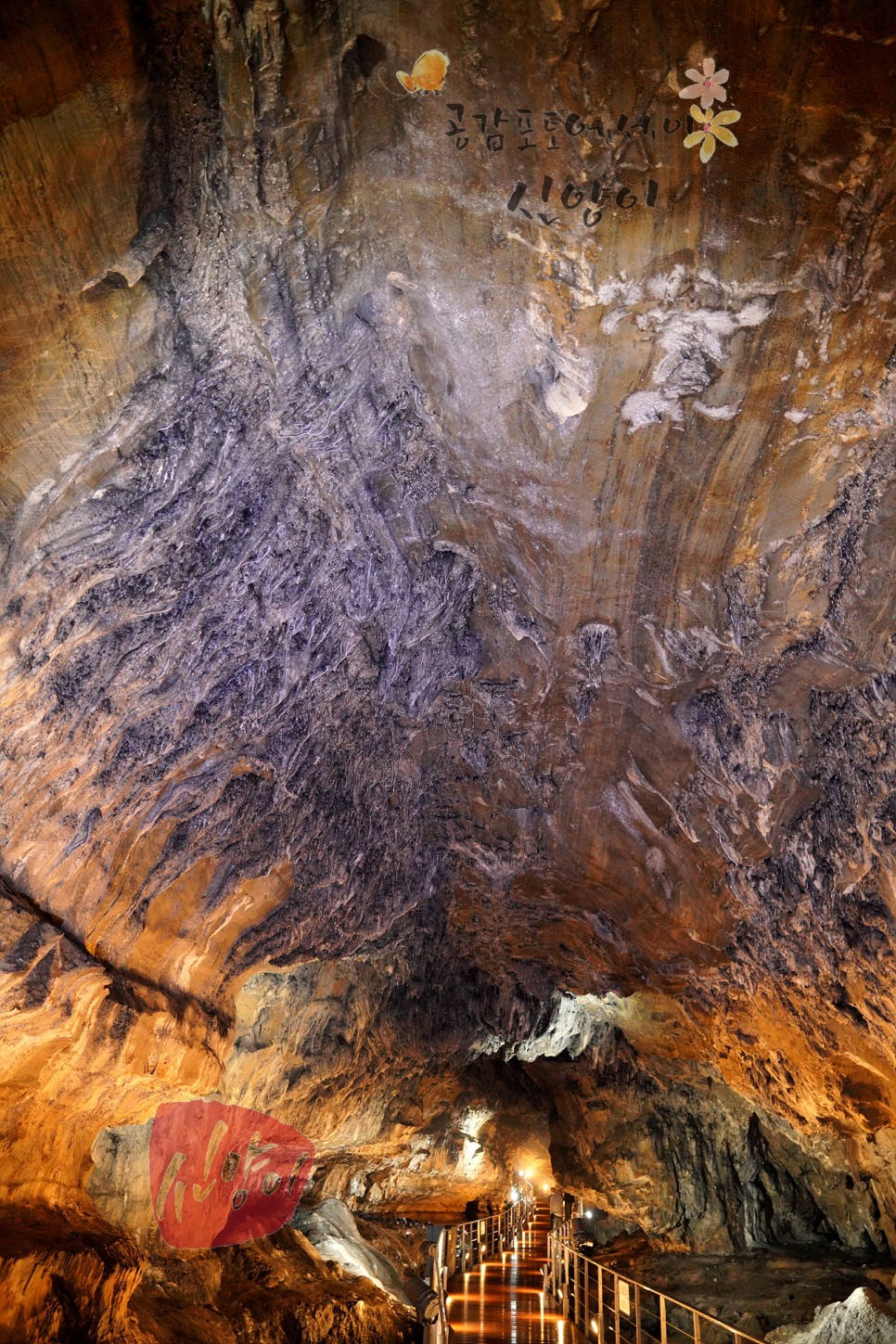 강원도 갈만한곳 박쥐보는 강원도 동굴 평창 광천선굴 어드벤처테마파크