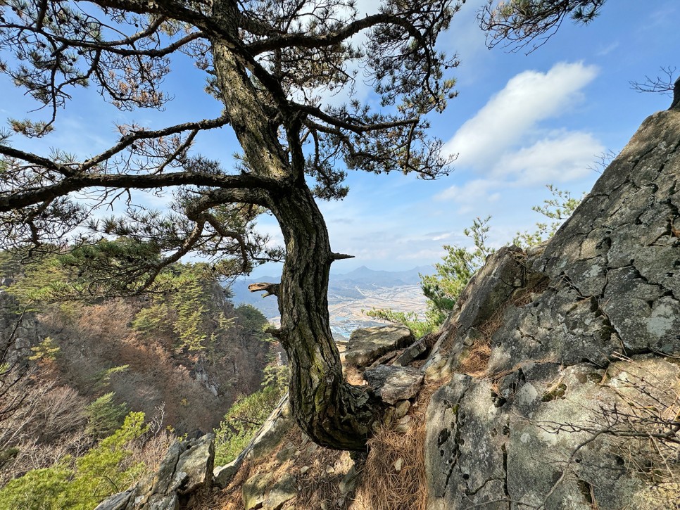 거창 <미녀봉> 능선 산행, 오도산 자연휴양림 출발 원점회귀 코스