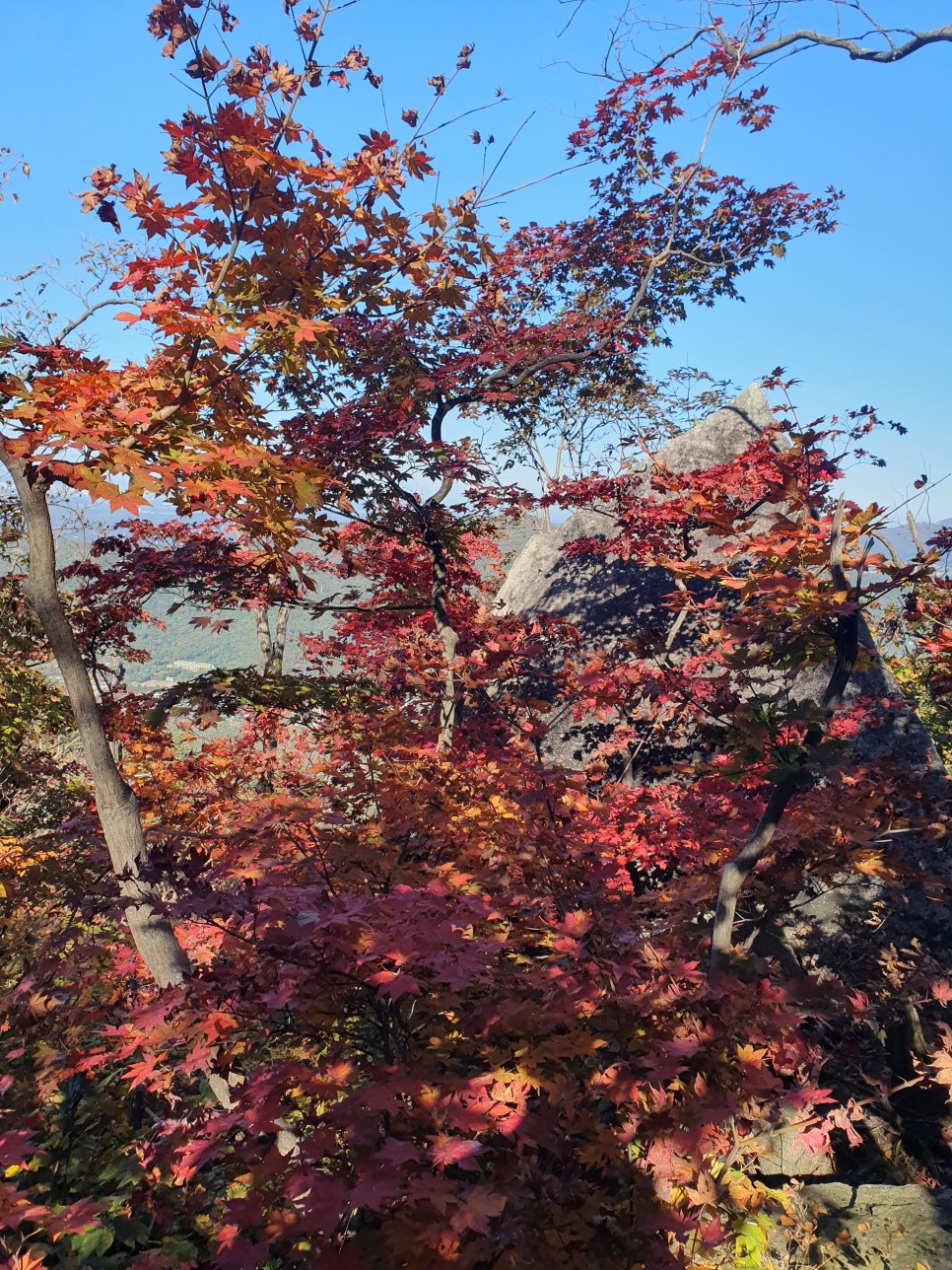 북한산 등산, 백운대 단풍 릿지 (파랑새릿지~ 백운대 ~ 김계남릿지~서벽밴드 ~ 시발클럽)