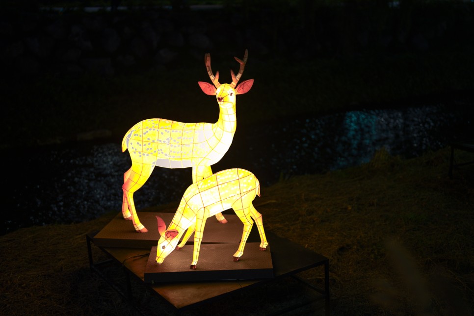 노원달빛산책 - 당현천의 밤을 아름답게 수놓은 등불 축제