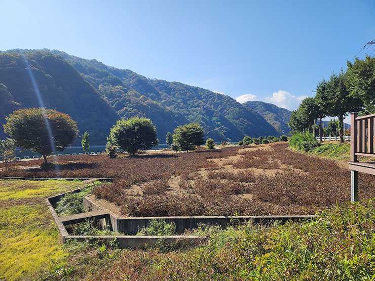국내여행지 추천 화천산소길 일부와 북한강 숲으로다리 살랑교