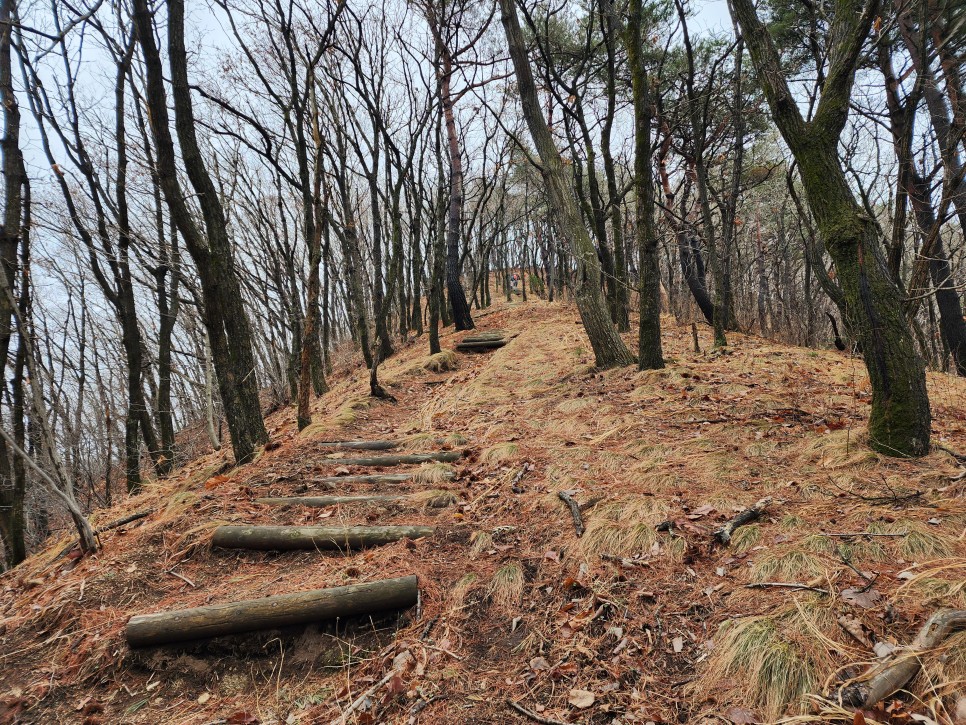 백두대간 29구간(삼마골재-삼도봉-박석산-백수리산-부항령-덕산재) 산행('23.03.25)