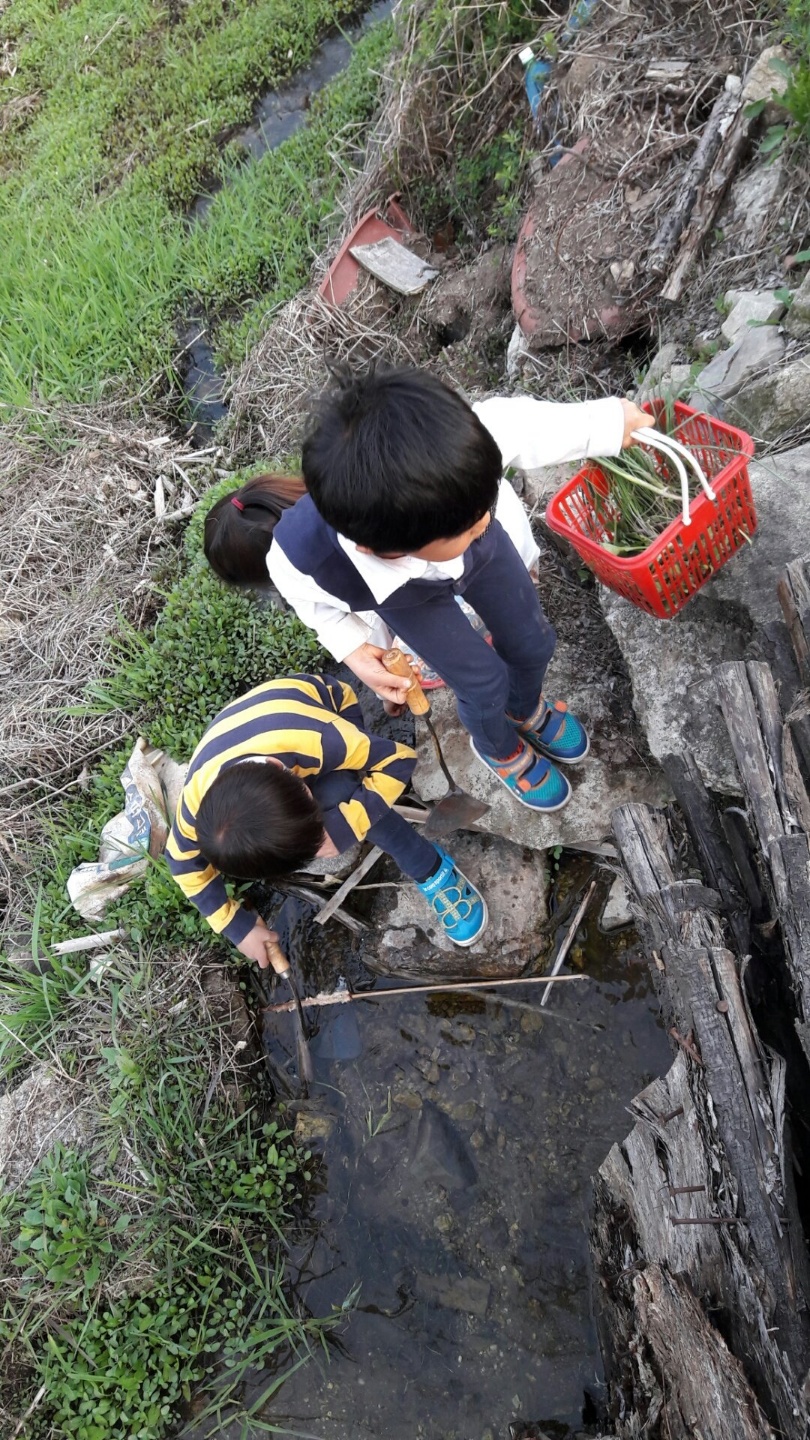 숲체험, 생태교육, 농촌체험 자!(마을에서)놀자 프로그램 진행