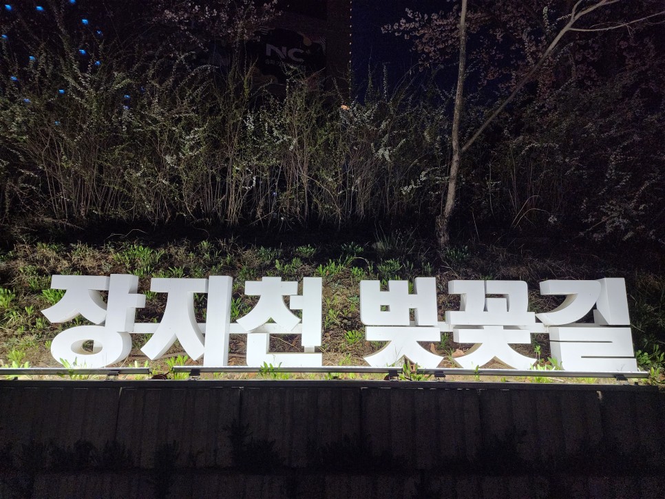 벚꽃명소: 송파 장지천 벚꽂 감상 ('23.03.26)