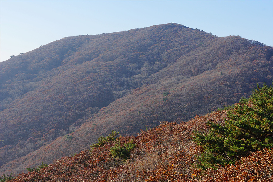 [지리산국립공원] 서북능선 중 일출 명소의 만복대 코스