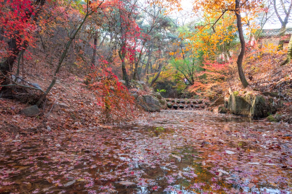 경주 숨은 단풍 명소 옥룡암 그 아름다운 가을 절경