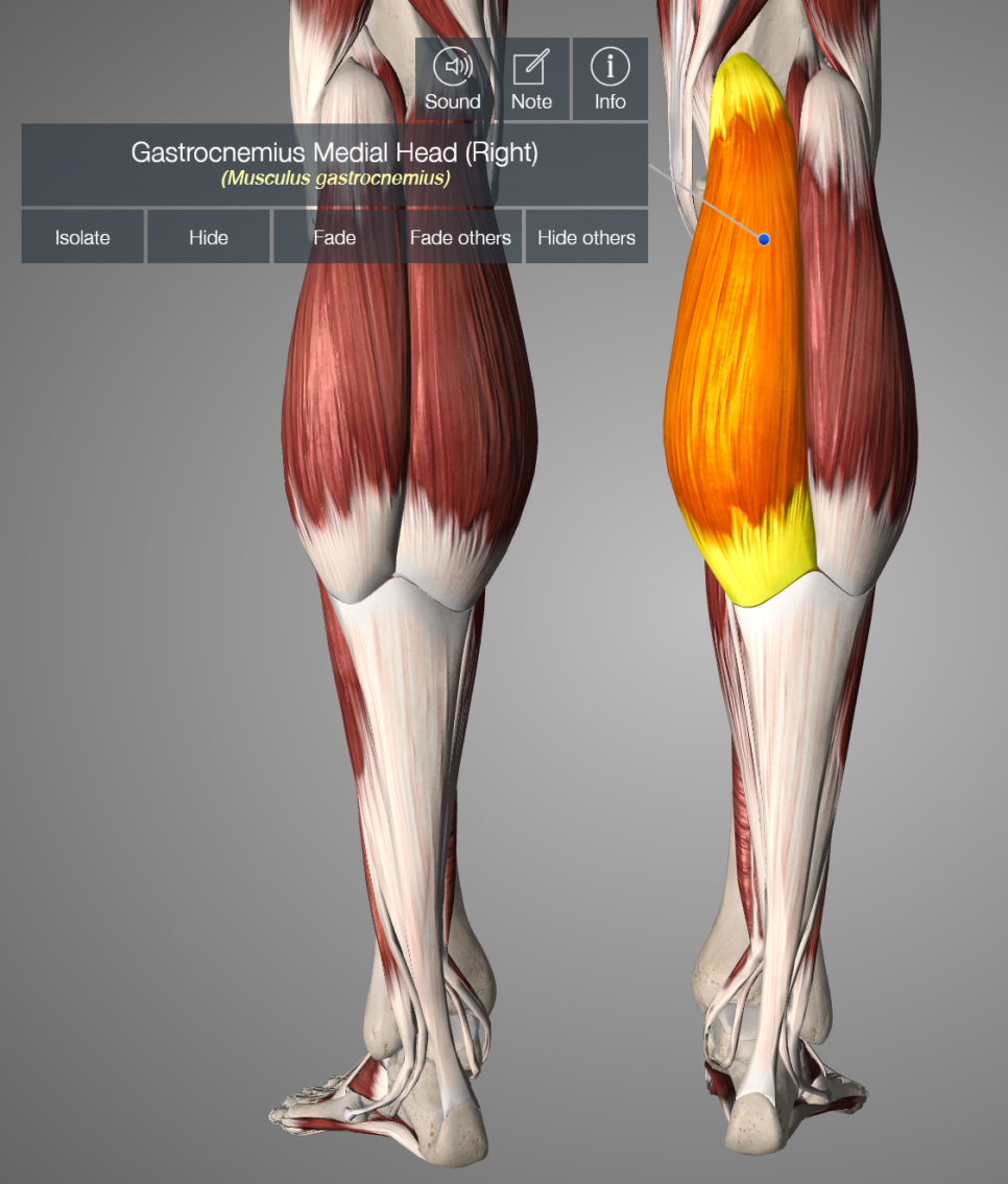 오류동PT . 무릎통증 잡아주는 브릿지 3종세트