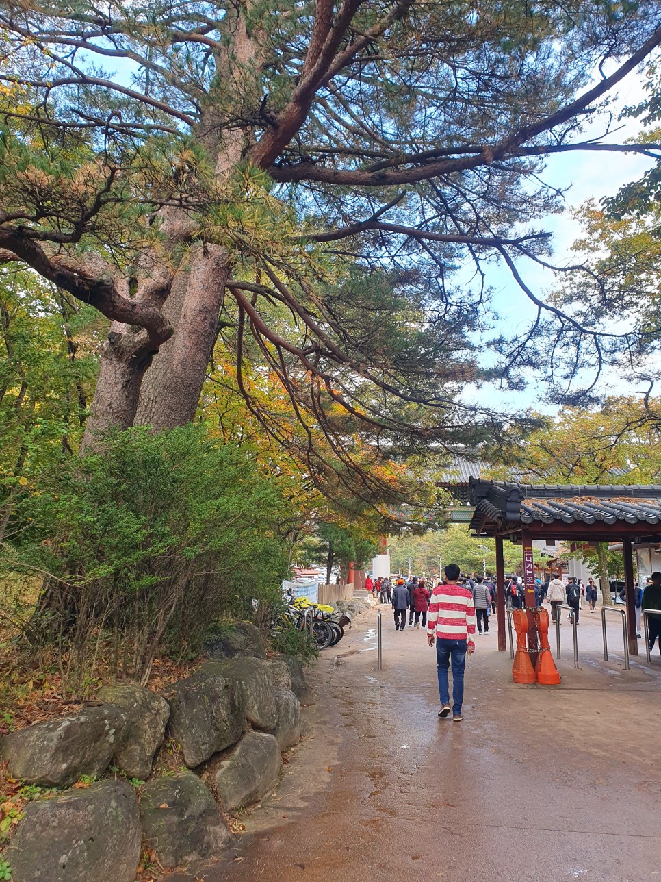 설악산 등산, 토왕골 별을따는소년들 가을 릿지