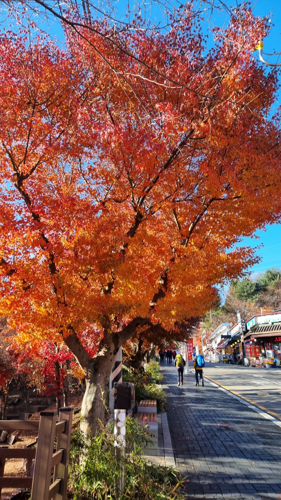 대둔산 등산, 솔내음길(1~5P) & 구조대길(칠성바위, 4p~9P) 릿지