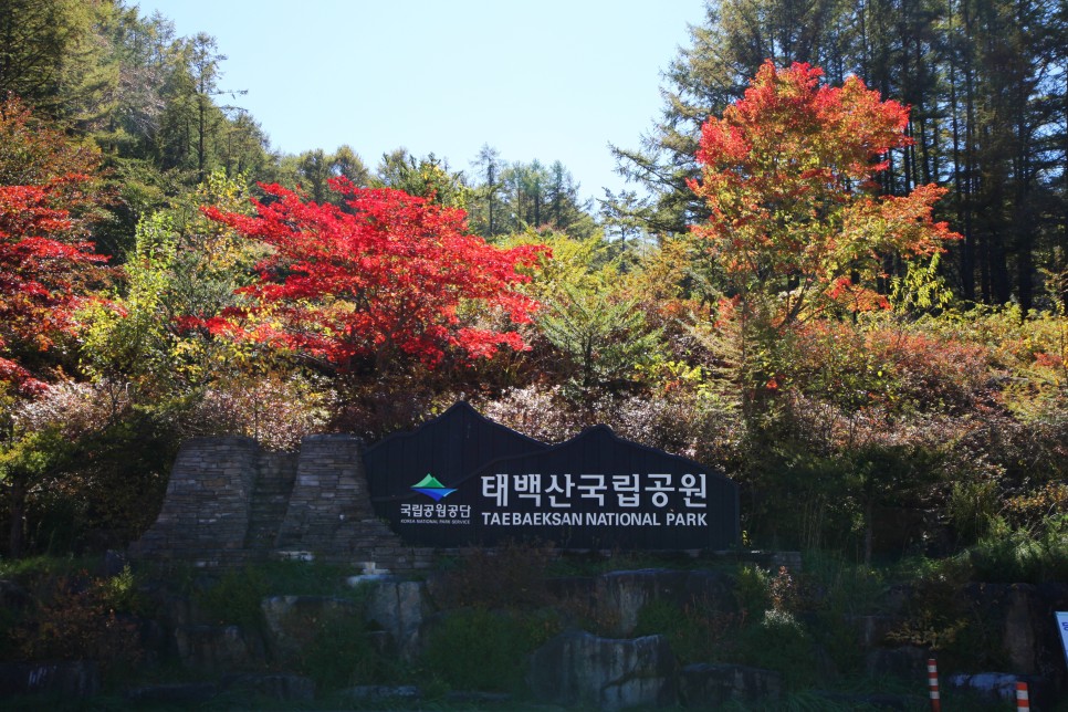 [태백산국립공원] 태백산국립공원 소도야영장과 단군성전 둘러보기 (F)