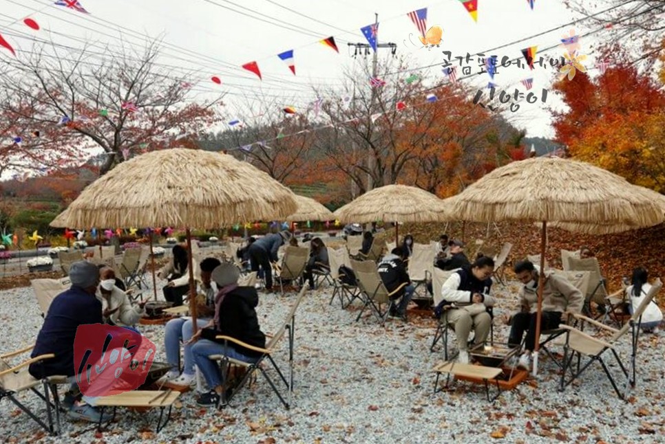 11월 전남축제 해남미남축제 가볼만한곳 안내 - 연예인 출연