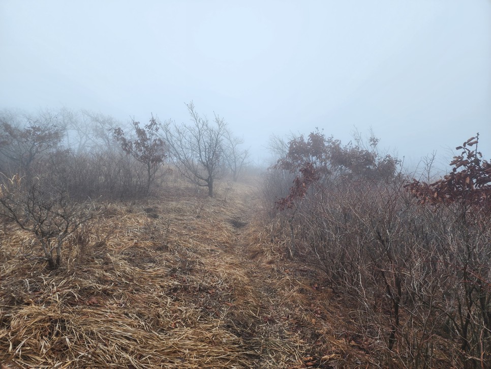 백두대간 29구간(삼마골재-삼도봉-박석산-백수리산-부항령-덕산재) 산행('23.03.25)