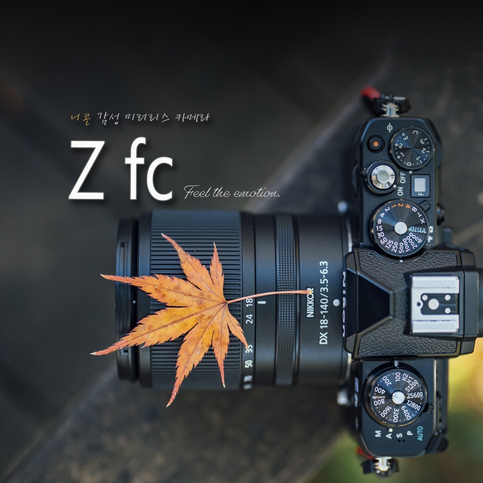 [니콘 감성 미러리스 카메라 추천] 헤리티지 디자인 Z fc 블랙으로 담은 고창 선운사 가을 여행