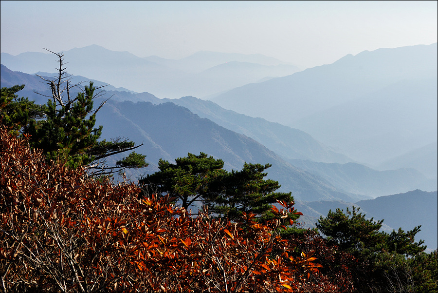 [지리산국립공원] 서북능선 중 일출 명소의 만복대 코스