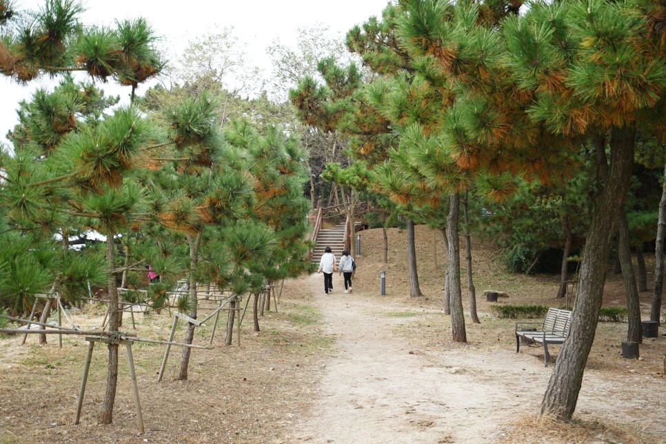 인천 영종도 드라이브 코스, 왕산해수욕장, 선녀바위 해수욕장 주차장 및 관람포인트!