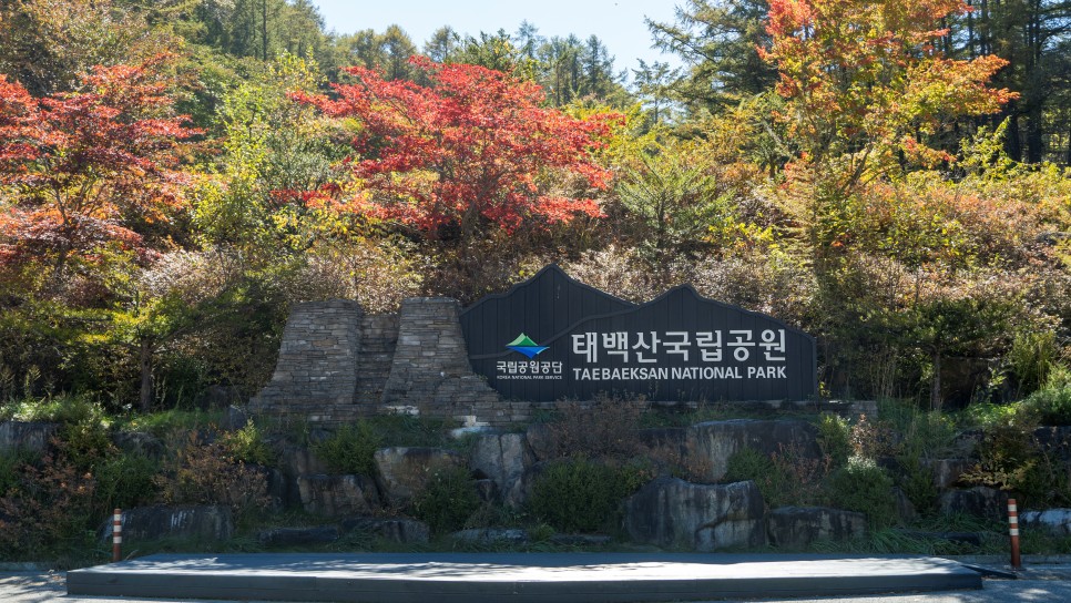 [태백산국립공원] 백천명품마을 봉화백천단풍축제와 함께한 태백여행(M)