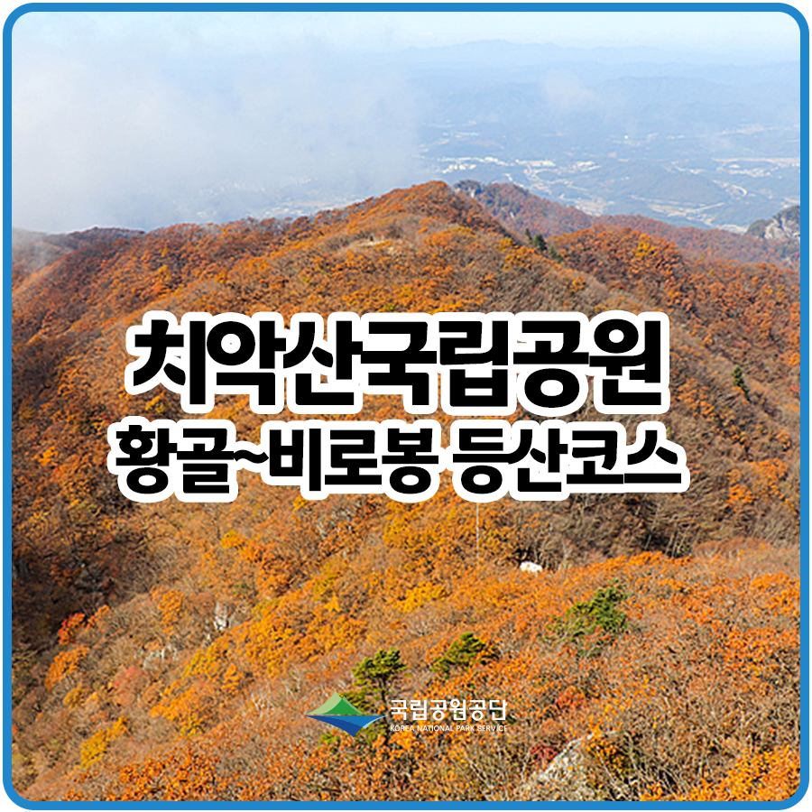 [치악산국립공원] 치악산 가을 단풍산행 / 황골~비로봉 등산코스