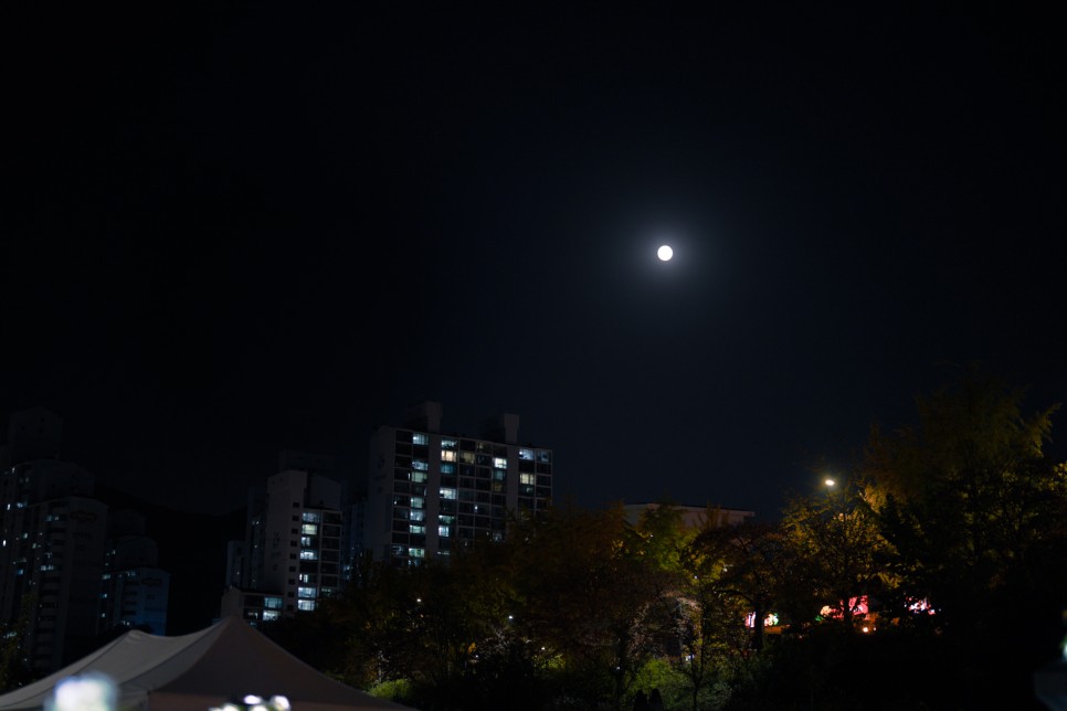 노원달빛산책 - 당현천의 밤을 아름답게 수놓은 등불 축제