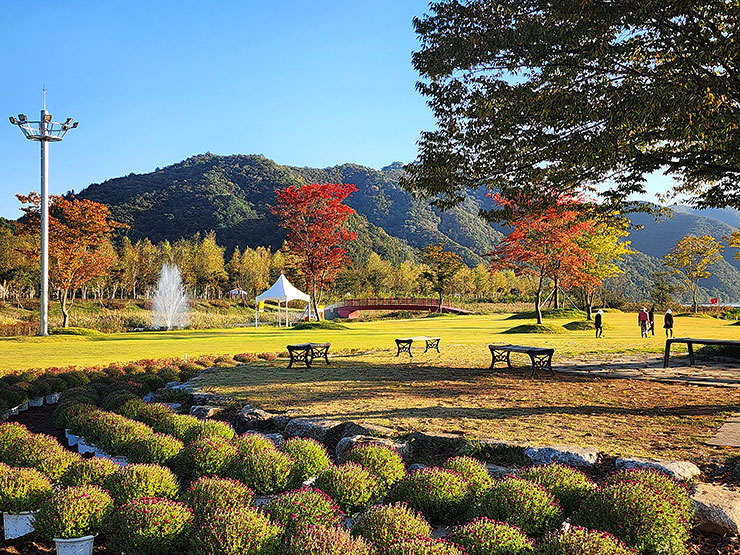 강원도 여행 사진찍기 좋은 곳 화천 사랑나무(거례리 사랑나무)