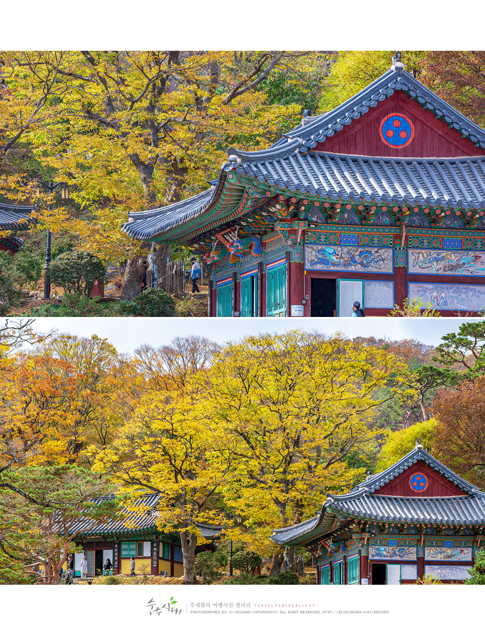 인천 강화도 갈만한곳 가을단풍명소 석모도 보문사 전등사